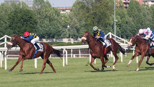 Voice of... Ambrosiano