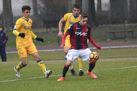 Serie A Bologna, ora chi entra? Da Fabrotta a Tabacchi