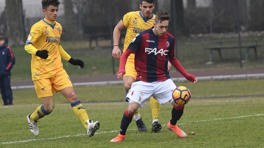 Serie A Bologna, ora chi entra? Da Fabrotta a Tabacchi