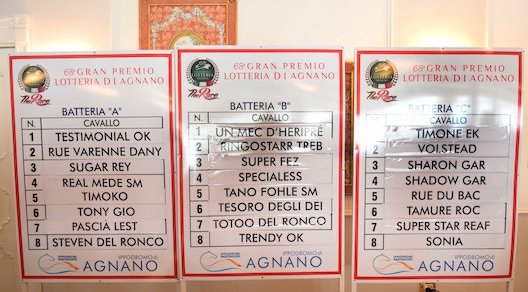 Lotteria: Timoko con il 5