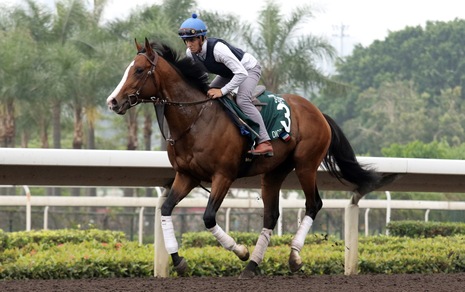 Bietolini, rotta su Hong Kong