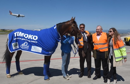 Timoko a 1,40 in batteria