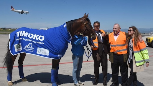 Timoko a 1,40 in batteria