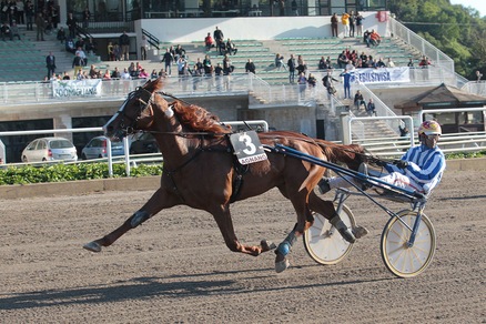Ultra Wind Bi alla francese