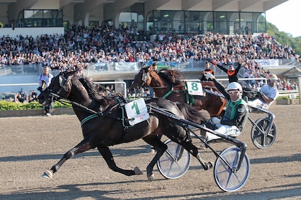 Bellei saldo al Timone