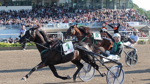 Bellei saldo al Timone