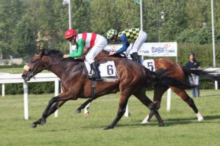 Mac Mahon diventa giapponese