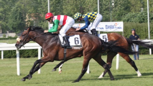 Mac Mahon diventa giapponese