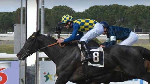 Mi Raccomando, salto in lungo