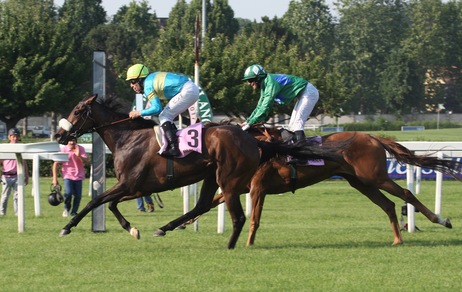 Pinna, prima classica italiana