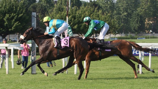 Pinna, prima classica italiana