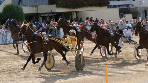 Superbo, stesso cammino