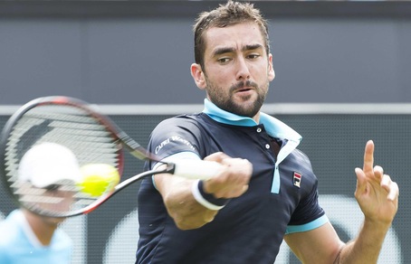 Torneo, Ricoh Open: Cilic ai quarti di finale