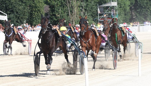 Sempre e solo Vivid Wise As