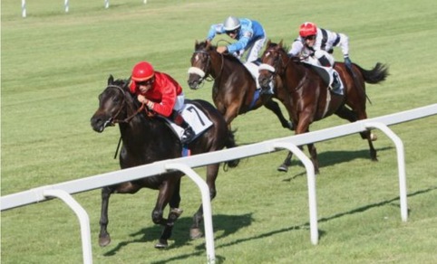 Largo a Ipompieridiviggiù