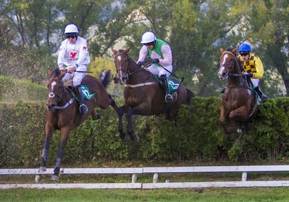 Mazhilis & c. a Merano