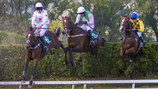 Mazhilis & c. a Merano