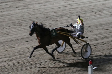 Tamure Roc, un assolo