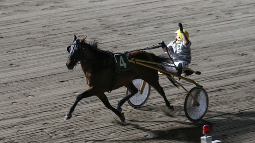 Tamure Roc, un assolo