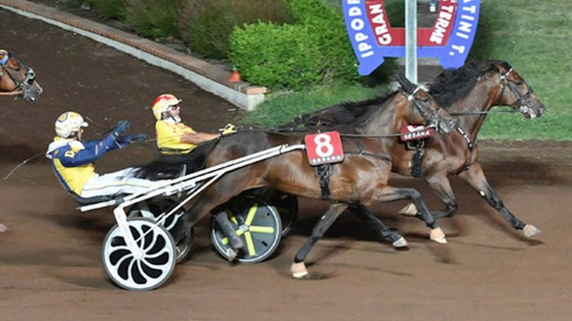 In dodici nel Marche