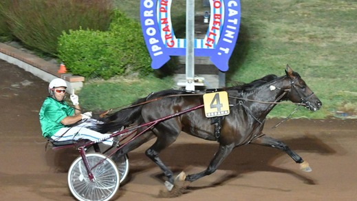 Bellei, l'Urlo dei dieci