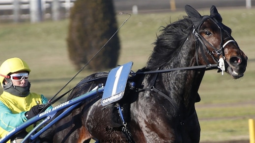 Un Derby da cervelloni
