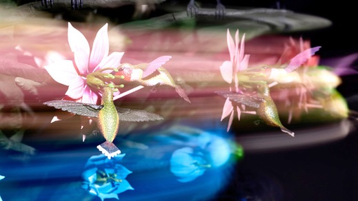 Enjoy: l'arte contemporanea incontra il divertimento