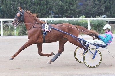 È il Turno del Freccia d'Europa