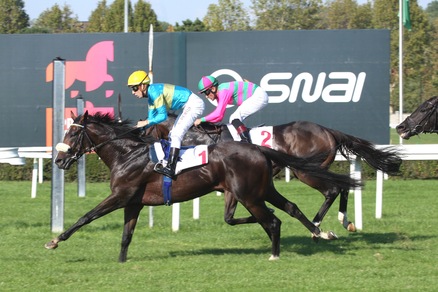 Hass, un Amore di miler