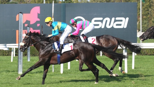 Hass, un Amore di miler