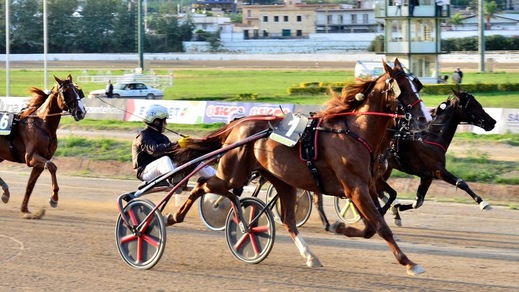 Toseland, una Freccia Kyu