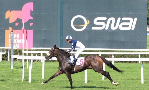 Arrivi esteri per i gruppi milanesi