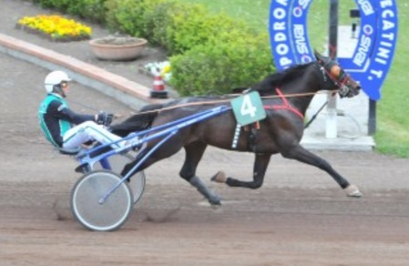 Grassetto, in otto a Padova