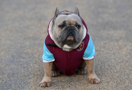 Premier, il West Ham ha un tifoso speciale...