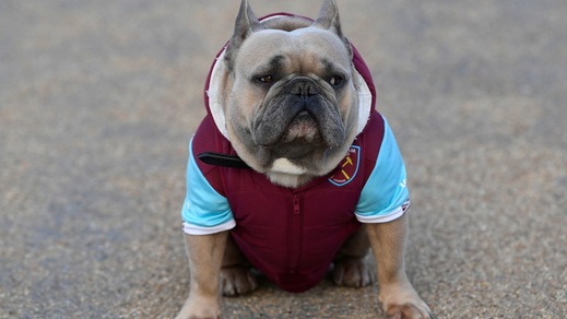 Premier, il West Ham ha un tifoso speciale...