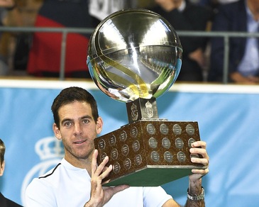 Tennis, Stoccolma: vince Del Potro, battuto Dimitrov in finale