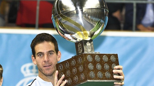 Tennis, Stoccolma: vince Del Potro, battuto Dimitrov in finale