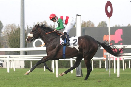 Full Drago, vittoria e infortunio