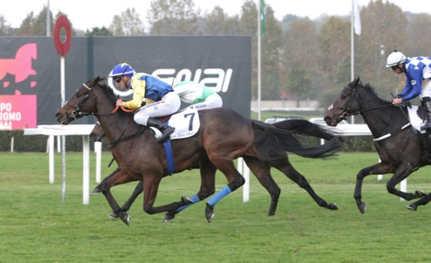 Trip To Rhodos deve sudarsela