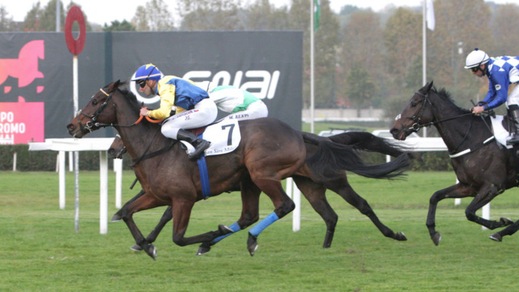 Trip To Rhodos deve sudarsela