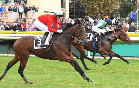 My Lea, finish imparabile