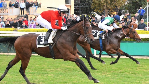 My Lea, finish imparabile