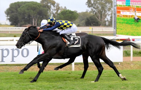 Branca, scelta ancora giusta