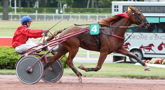Mangelli, carte mischiate