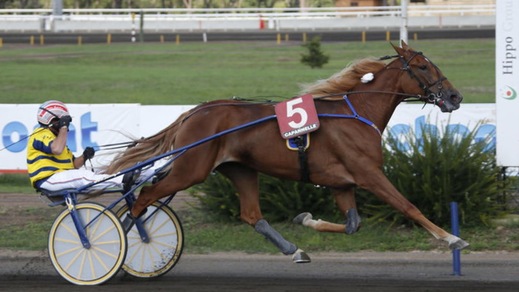 Unicka: il cerchio si stringe