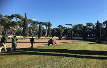 Piazza di Siena, green look