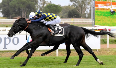 Dieci nel Roma, tre dall'estero