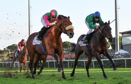 Anda Muchacho, festa finale