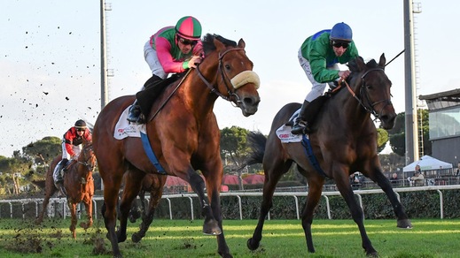 Anda Muchacho, festa finale