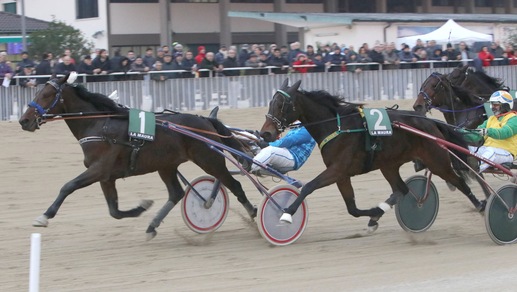 Gran Criterium Day nel segno di Varenne